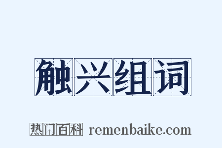 触兴组词是什么意思的图片